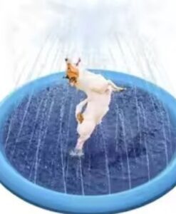 Đồ chơi phun nước mùa hè cho chó