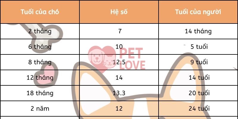 tuổi thọ của chó
