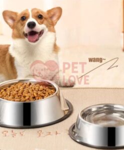 bát ăn cho chó