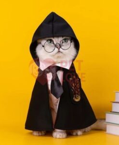 Phụ kiện cho chó