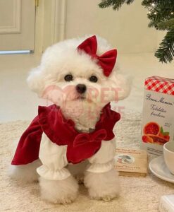 Phụ kiện cho chó