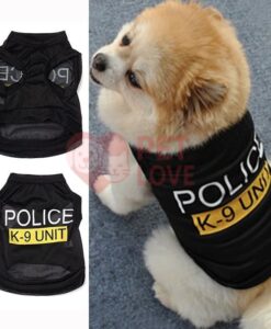 Phụ kiện cho chó