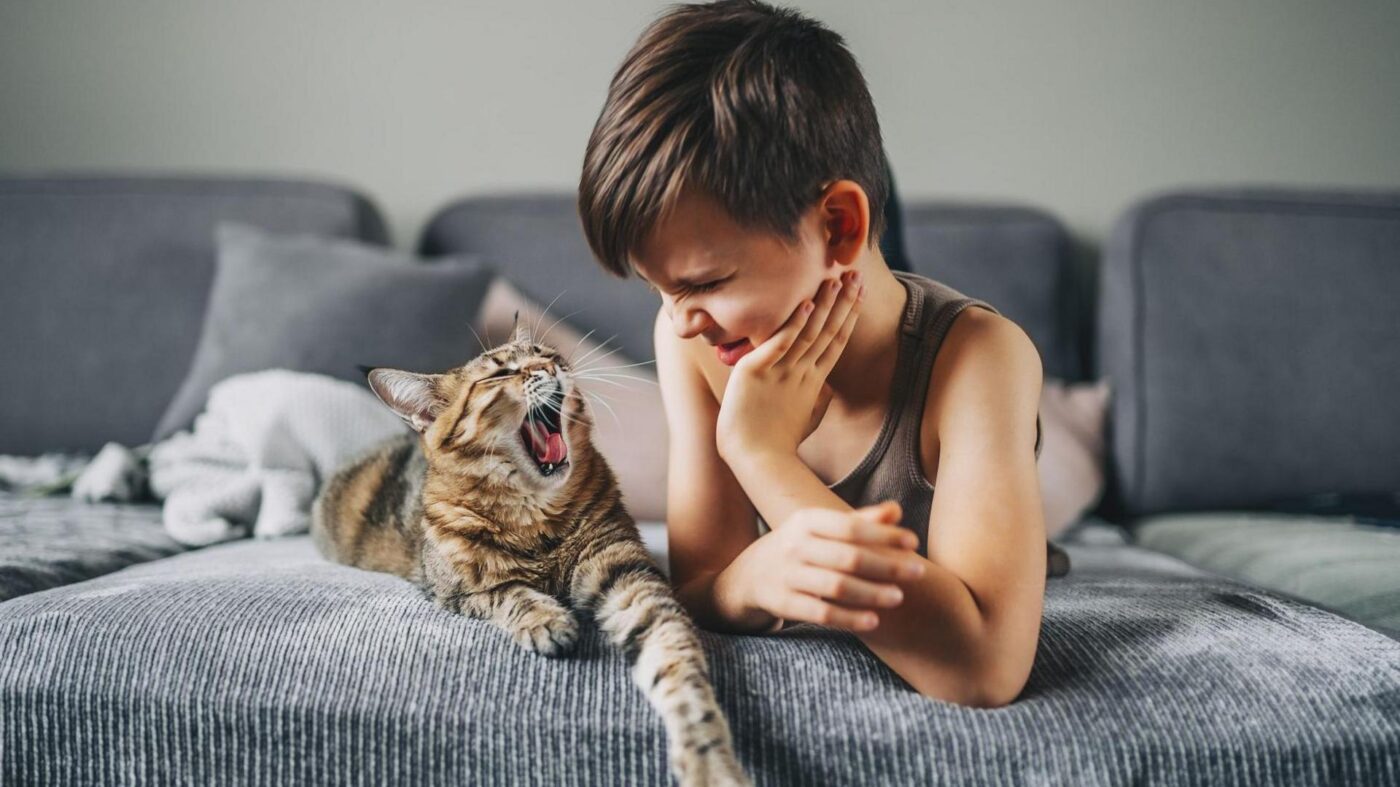 international cat day