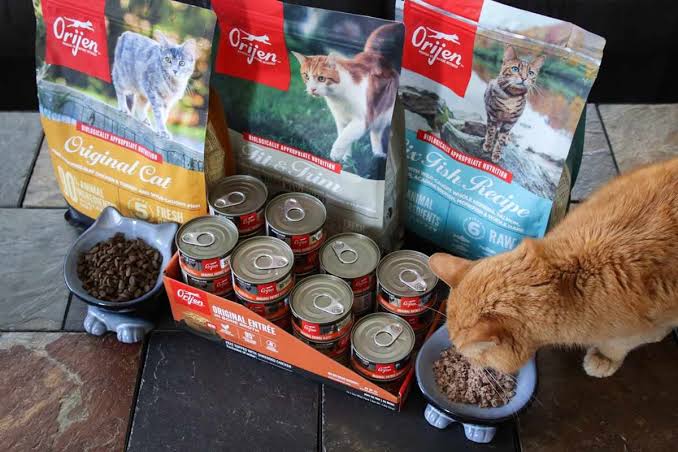orijen dry cat food