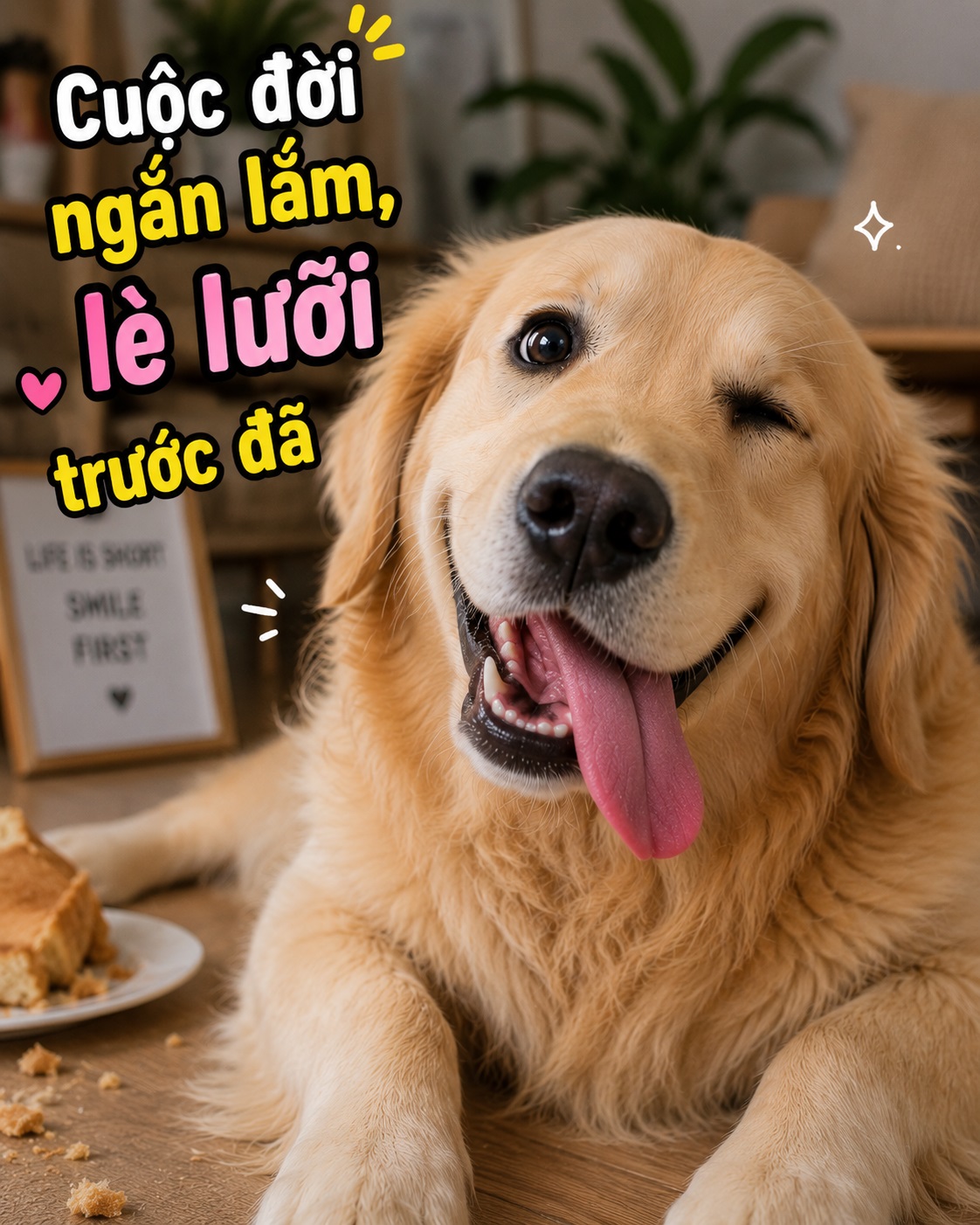 Cuộc đời ngắn lắm, lè lưỡi trước đã