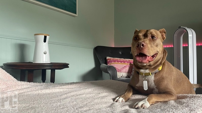 Furbo 360° Dog Camera – Camera tương tác và ném thưởng